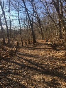 Cold spring park in Newton, MA