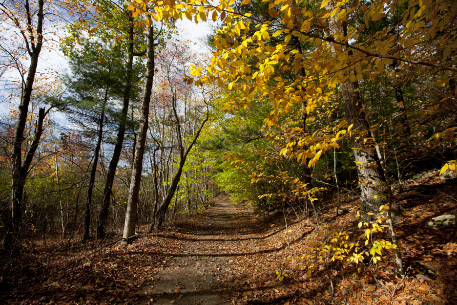 Hikes near Boston: Blue Hills Reservation