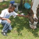 Campers make friends, get support, and learn at Barton Diabetes Camp