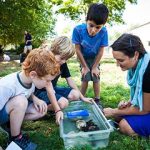 Campers learn about nature at Shady Hill's Summer Program
