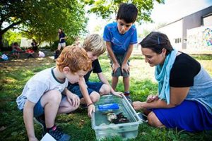 Campers learn about nature at Shady Hill's Summer Program