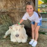 Summer camps: Longfellow Health Club Summer Camp Natick