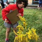 Preschools in Cambridge: Cambridge Friends School