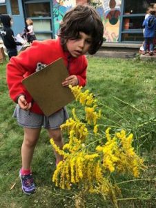 Preschools in Cambridge: Cambridge Friends School