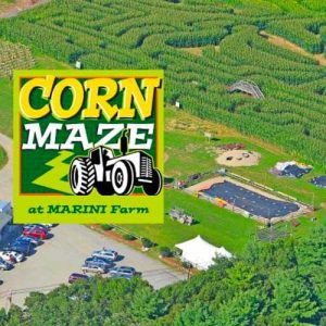 Marini Farm