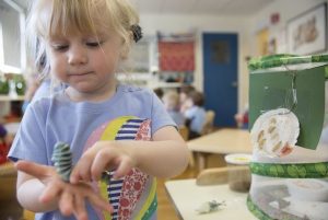 Summer Montessori Camp: Summer Recess at Lexington Montessori School