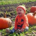 Verrill Farm
