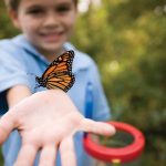 Summer farm camp: Appleton Farms