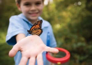 Summer farm camp: Appleton Farms