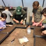 Summer farm camp: Appleton Farms
