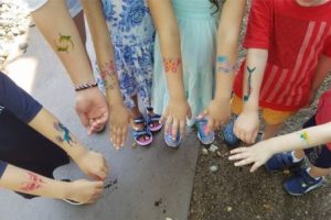 Best summer camps in Cambridge: Summer @ BB&N