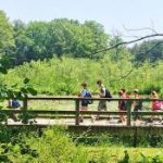 Summer camp: Broadmoor Wildlife Sanctuary summer camp in Natick