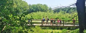 Summer camp: Broadmoor Wildlife Sanctuary summer camp in Natick