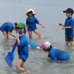 Bilingual summer camps near Boston: International School of Boston