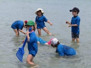 Bilingual summer camps near Boston: International School of Boston