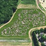 Connors Farm