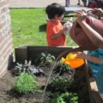 Head Start Preschools: Newton Creative Start