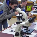 Summer STEAM programs: Edge on Science
