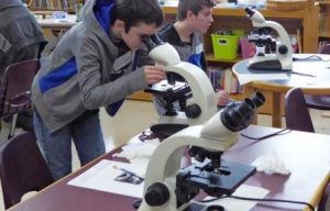 Summer STEAM programs: Edge on Science