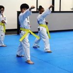 Martial Arts Classes in Natick: Korea's Finest Taekwondo