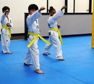 Martial Arts Classes in Natick: Korea's Finest Taekwondo