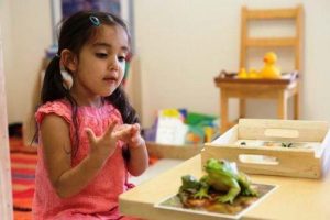 Montessori preschools in Lexington: Lexington Montessori School