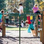 Montessori preschools in Lexington: Lexington Montessori School