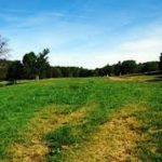 Off leash dog areas near Boston: Middlesex Fells Reservation