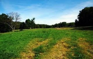 Off leash dog areas near Boston: Middlesex Fells Reservation