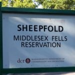 Biking trails near Boston: Middlesex Fells Reservation