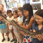 Find the best summer camps in Newton: Newton Community Education