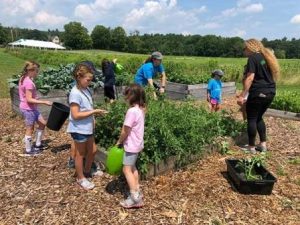 Summer camps in Dover: Far, Forester, Chef! at Powisset Farm