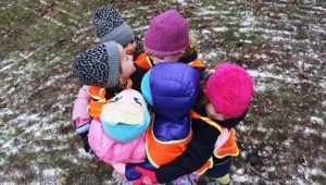 Daycare in Boston: Spruce Street Nursery School