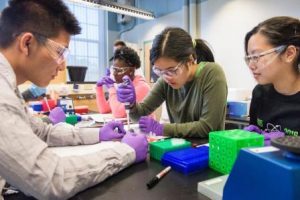 Summer programs for teens: Tufts pre-college programs