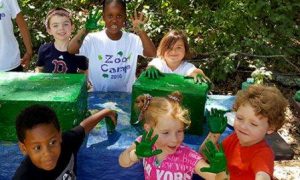 Best summer camps in Boston: ZooCamp at Franklin Park Zoo