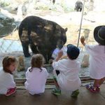 Best summer camps in Boston: ZooCamp at Franklin Park Zoo