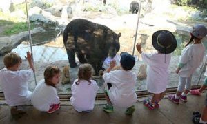 Best summer camps in Boston: ZooCamp at Franklin Park Zoo