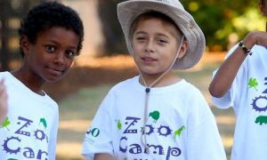 Best summer camps in Boston: ZooCamp at Franklin Park Zoo