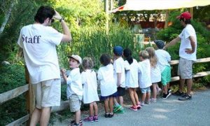 Best summer camps in Boston: ZooCamp at Stoneham Park Zoo