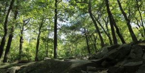 Great hiking spots near Boston: Blue Hills Reservation