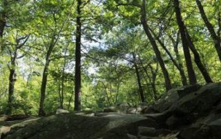 Great hiking spots near Boston: Blue Hills Reservation