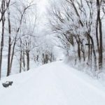 Great skiing spots near Boston: Blue Hills Reservation