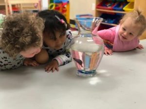 Preschools in Natick: Gardengate Academy