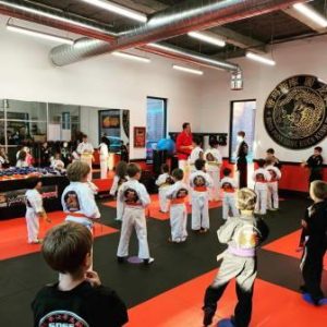 Karate and Kung Fun for Kids: SDSS Martial Arts