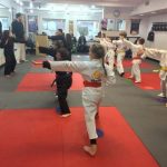 Karate and Kung Fun for Kids: SDSS Martial Arts
