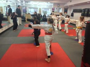 Karate and Kung Fun for Kids: SDSS Martial Arts