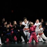 Karate and Kung Fun for Kids: SDSS Martial Arts