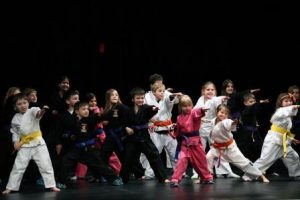 Karate and Kung Fun for Kids: SDSS Martial Arts