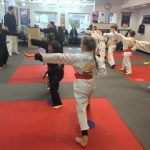 Karate and Kung Fun for Kids: SDSS Martial Arts