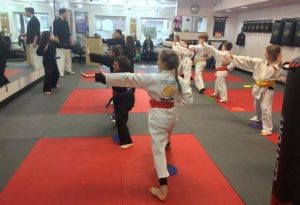 Karate and Kung Fun for Kids: SDSS Martial Arts